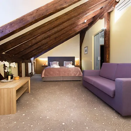 酒店 Bern Boutique By Rikas 3*